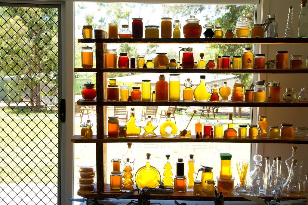 Honeybee Wellness Resort Kandanga Kültér fotó