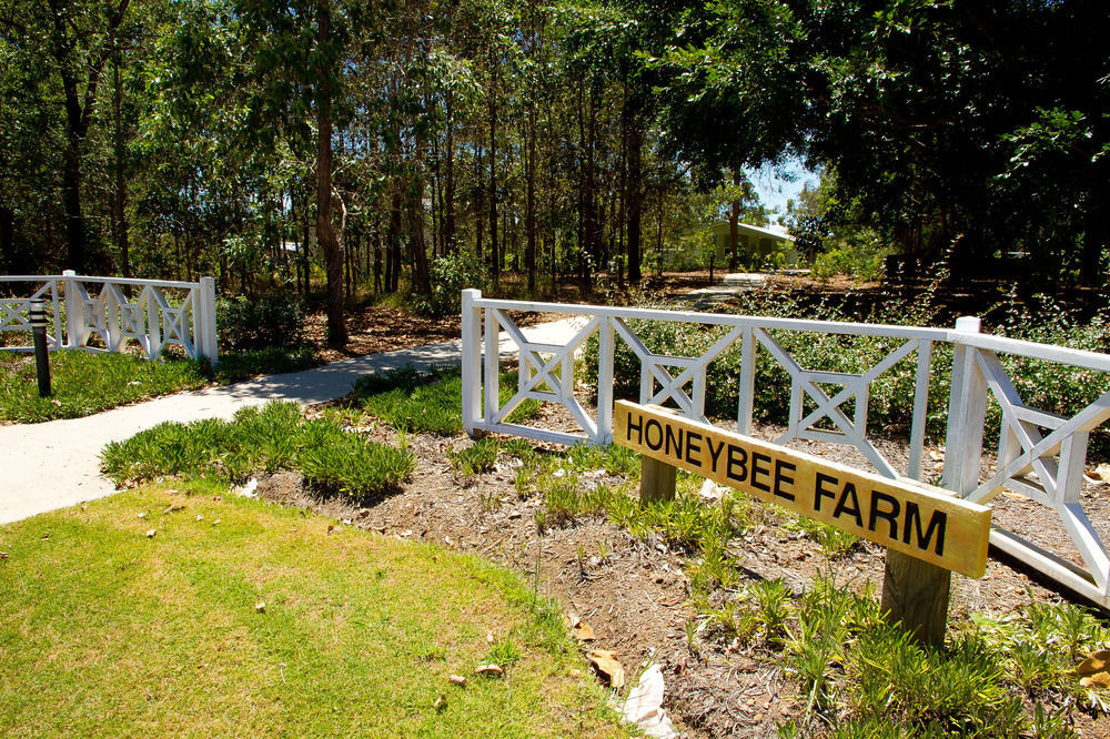 Honeybee Wellness Resort Kandanga Kültér fotó